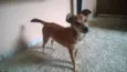 Rubi