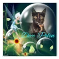 DOCE POLEN