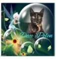 DOCE POLEN