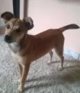 Rubi