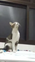 Lili