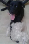 Nina 