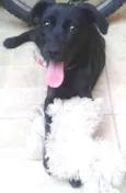 Nina 