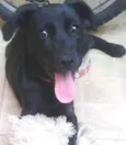 Nina 