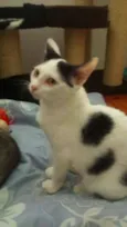 Mia e Miro (Adoção 