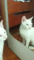Mia e Miro (Adoção 