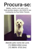 LORD