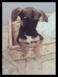 Jully
