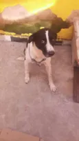 Tufão