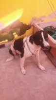 Tufão