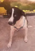 Tufão