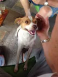 Lili