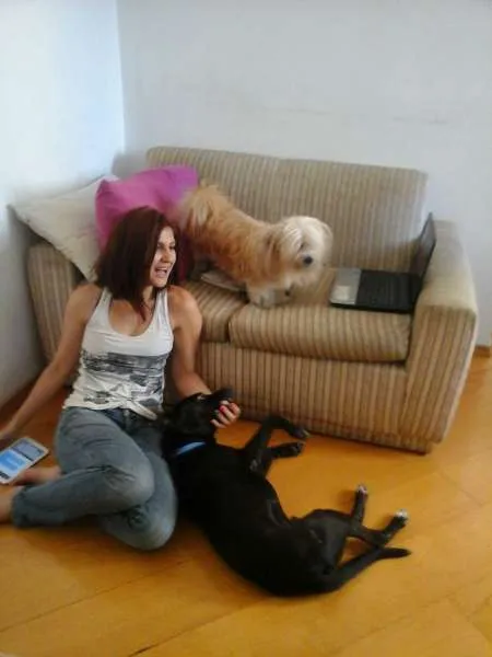Cachorro ra a SRD idade  nome Jimmy Hendrix