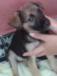 Luck