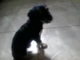 Scooby