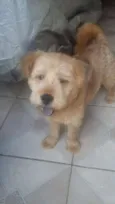 Billy