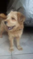 Billy
