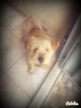 Billy