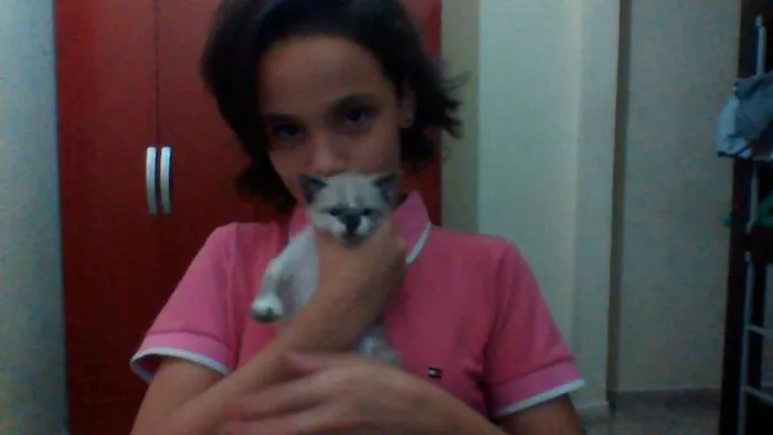 Gato ra a Nenhuma idade 2 a 6 meses nome Sem nome