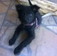 Neguinha
