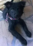 Neguinha