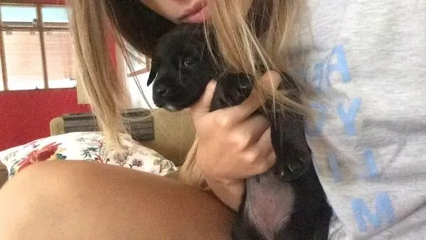 Cachorro ra a Vira lata idade Abaixo de 2 meses nome Sem nome