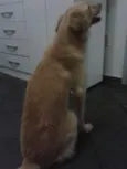 Marley