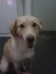 Marley