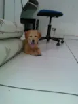 Kira