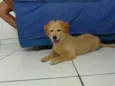 Kira