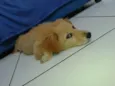Kira