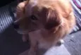 Marley 