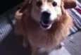 Marley