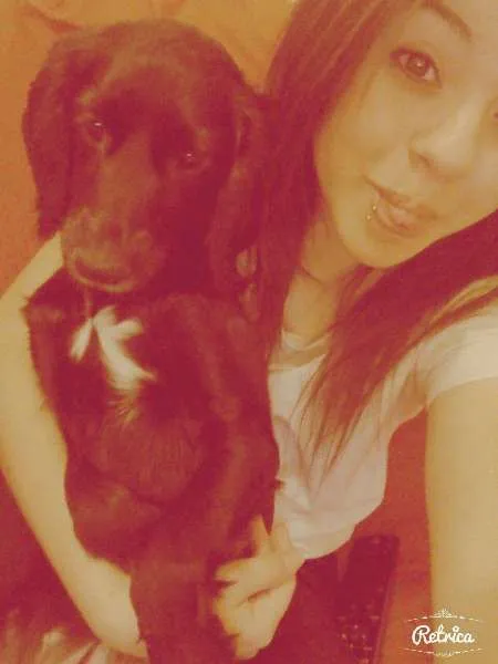 Cachorro ra a coocker com vira lata idade 2 anos nome megh