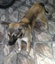 Chiquita