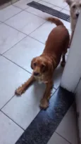 Lylla