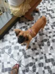 Jully