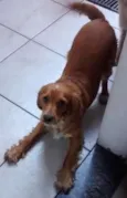 Lylla