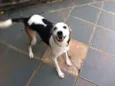 BILLY, um príncipe!