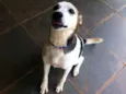 BILLY, um príncipe!
