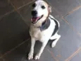 BILLY, um príncipe!