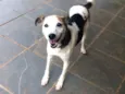 BILLY, um príncipe!