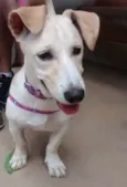 Princesa