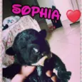 Sophia