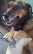 Filó