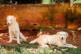 Beth e Vilma