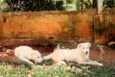 Beth e Vilma