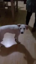 marley