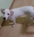 marley