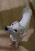 marley